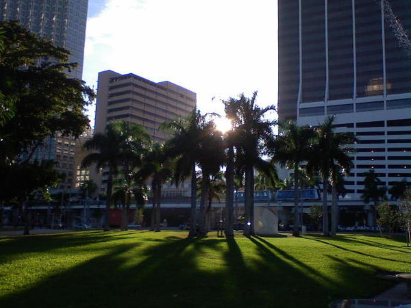DSC01346.JPG