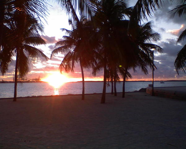 DSC01413.JPG