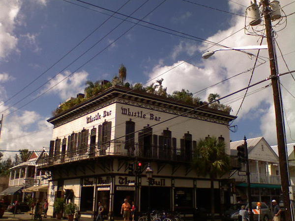 DSC01450.JPG