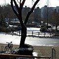 雪景8.jpg