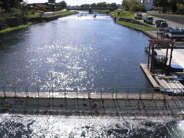 養樽場2.JPG