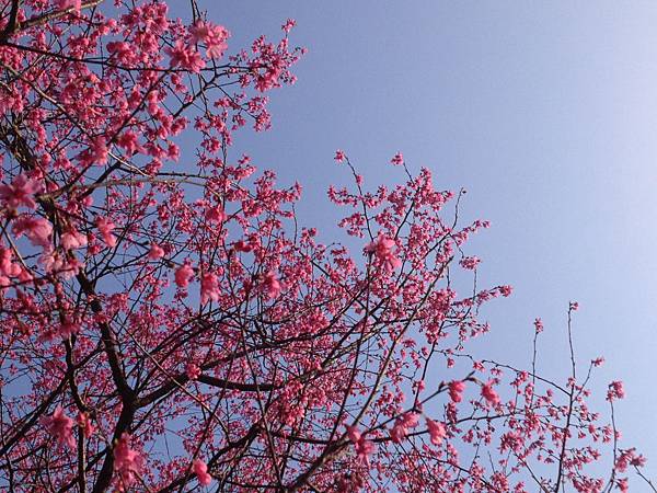IMG_0113 IMG_0113
