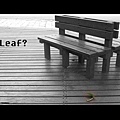 leaf.jpg