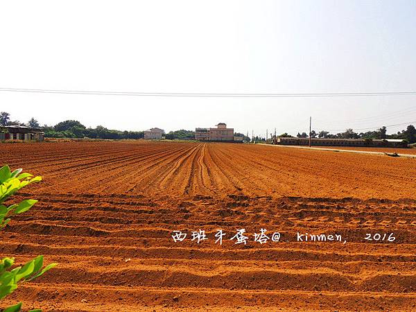 貳柒食堂(轉型為工作室)金門隱身在田中央的輕食咖啡廳,溫馨 貳柒食堂(轉型為工作室)金門隱身在田中央的輕食咖啡廳,溫馨