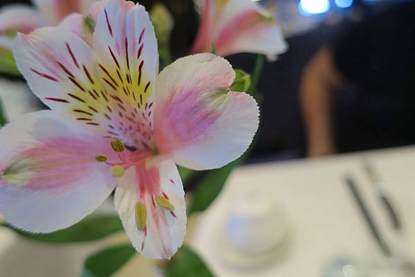 10 (3).JPG 10 (3).JPG