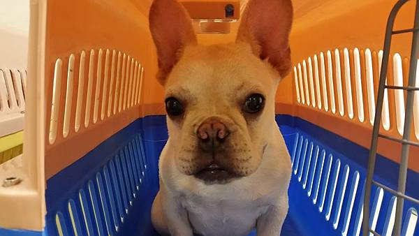 20150514_133037 20150514_133037