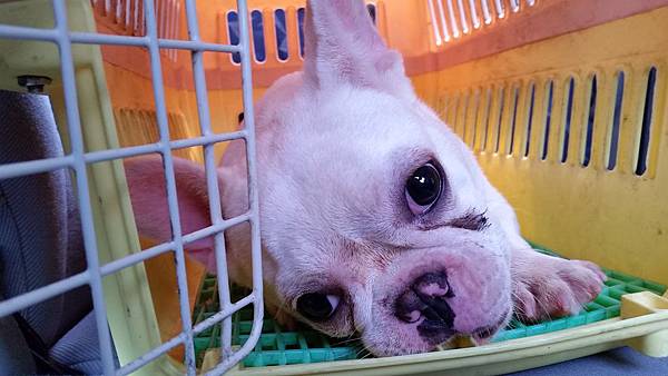 20150514_135929 20150514_135929