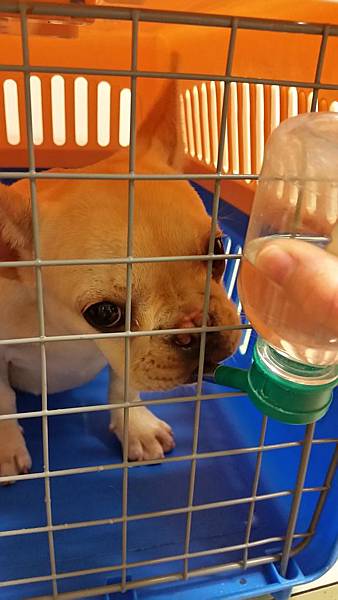 20150514_133350 20150514_133350