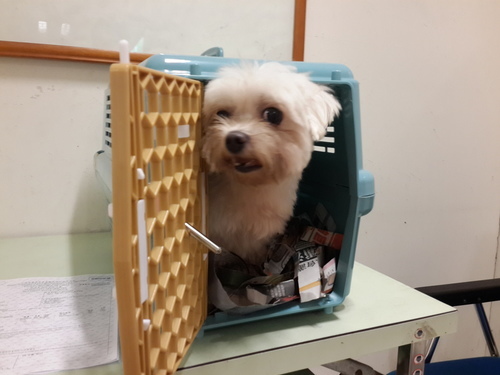 1092588200_m 1092588200_m