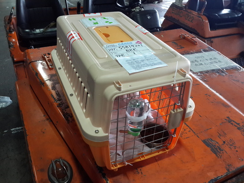 1102581616_m 1102581616_m