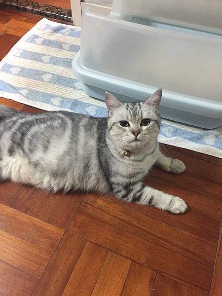 S__9601046 S__9601046