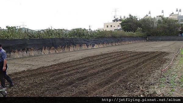 CY80_Trenching 小型摺疊中耕機,耕耘機 (Power tiller/Garden tiller/Power weeder/Cultivator/Hand tractor/Rotary hoe)