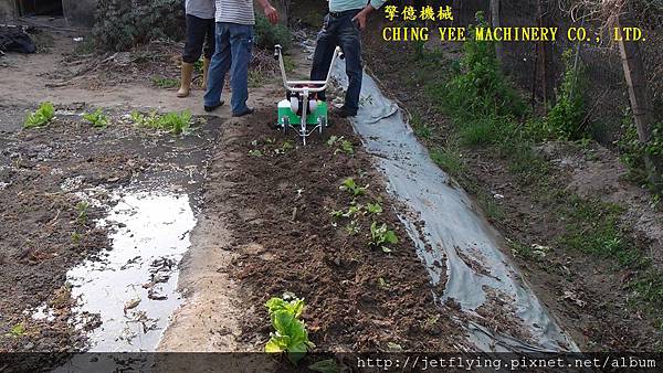 CY50 tilling in vegetable field CY50 小型摺疊中耕機,耕耘機 (Power tiller/Garden tiller/Power weeder/Cultivator/Hand tractor/Rotary hoe)