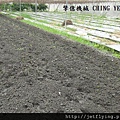 CY80 with 6-rotary 5HP tilling blade after tilling in the greenhouse CY80 小型摺疊中耕機,耕耘機 (Power tiller/Garden tiller/Power weeder/Cultivator/Hand tractor/Rotary hoe)