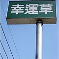 2009-6-16 下午 01-55-18.JPG