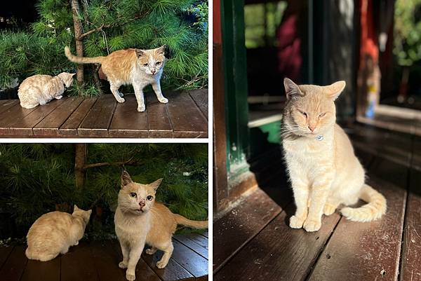 LINE_ALBUM_20211124_211124_12.jpg LINE_ALBUM_20211124_211124_12.jpg