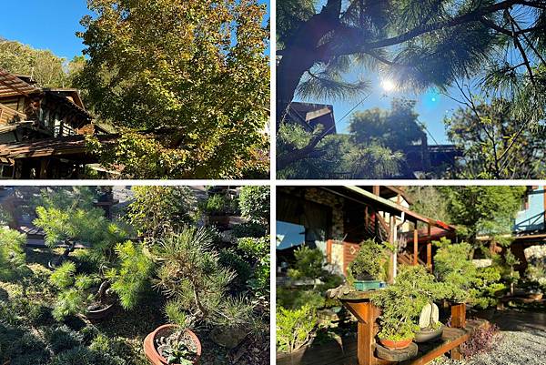 LINE_ALBUM_20211124_211124_14.jpg LINE_ALBUM_20211124_211124_14.jpg