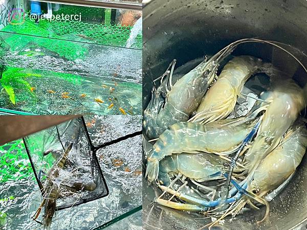 LINE_ALBUM_20230730 _7_230801_4.jpg