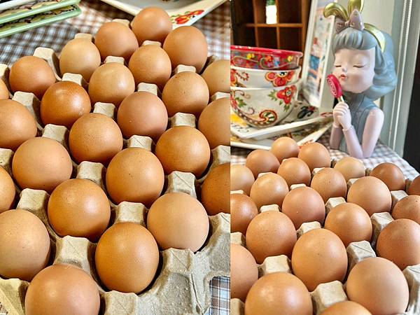 LINE_ALBUM_20230817 _1_230817_17.jpg