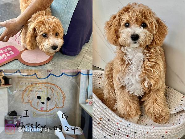 ＋（台中飲料）小澄市台中精誠旗艦店～鮮榨蘋果紅玉、塩雪四季春