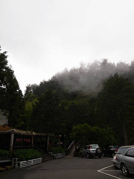 雲霧繚繞的山林溪之晨