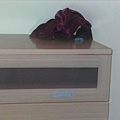 PICT1769.JPG