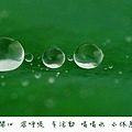 水珠珠112233