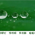 水珠112233123