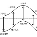 生命周期。確實真實.jpg