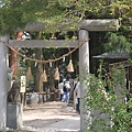 田裡的小神社