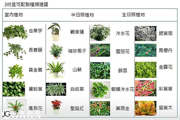 植生牆台北北部推薦 植生綠牆室內工程安裝系統案例 綠牆施工花牆設計維護價格 植栽牆 植物牆 綠屋頂 金獎布花園布盆栽