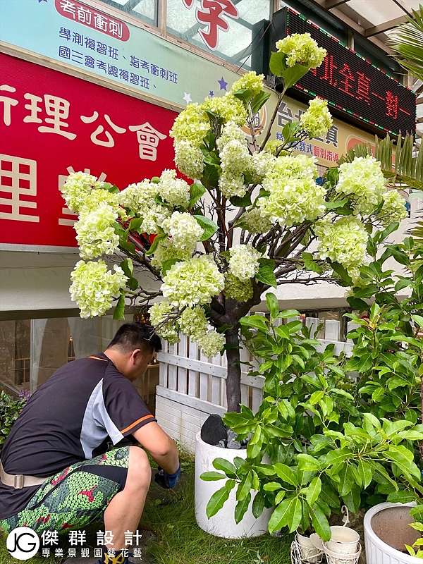 人造花佈置大人造樹盆栽照顧 繡球花庭院陽台改造植物推薦 花園玄關空間擺設造景 附近教會佈置就像陽明山的打卡網美牆