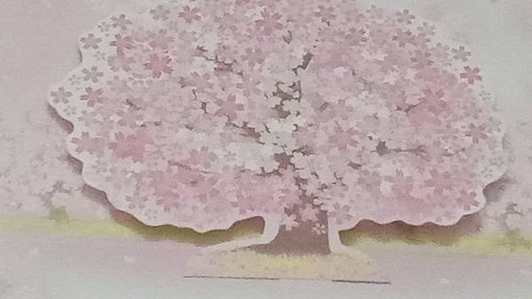 在志工過程的賞櫻