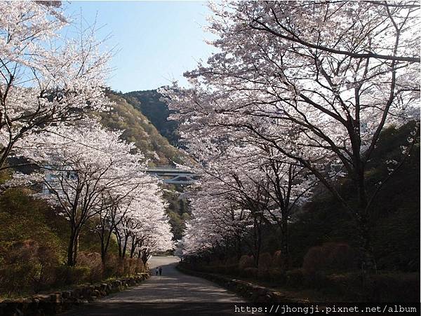 神奈川輕旅～宮ヶ瀨水庫～