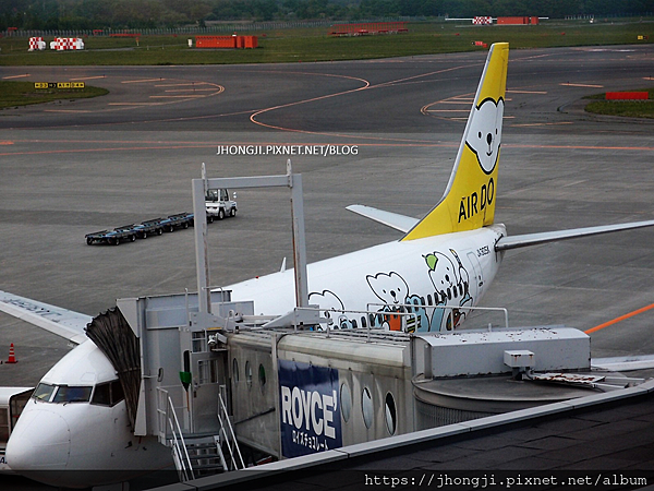 【隨便一拍】AIR DO AIRLINES/北海道/新千歲國