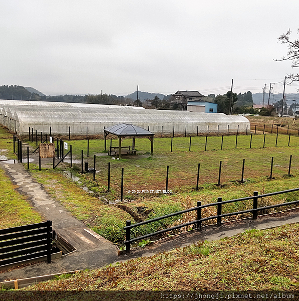 【友善餐廳】香草農場/千葉/景觀餐廳/自由活動區