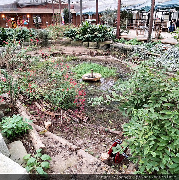 【友善餐廳】香草農場/千葉/景觀餐廳/自由活動區