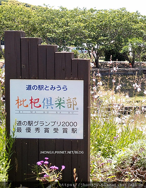 【在地美食】枇杷咖哩千葉富浦枇杷俱樂部房州枇杷茂木枇 【在地美食】枇杷咖哩千葉富浦枇杷俱樂部房州枇杷茂木枇