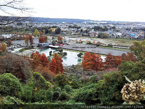 【友善餐廳】Wonderful Nature Village