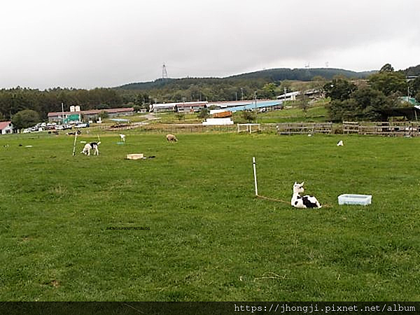 【隨便一拍】長門牧場/長野/寵物友善