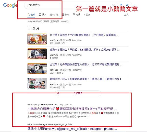 GOOGLE第一篇就是小鸚鵡文章.jpg