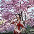 賞櫻秘境.jpg