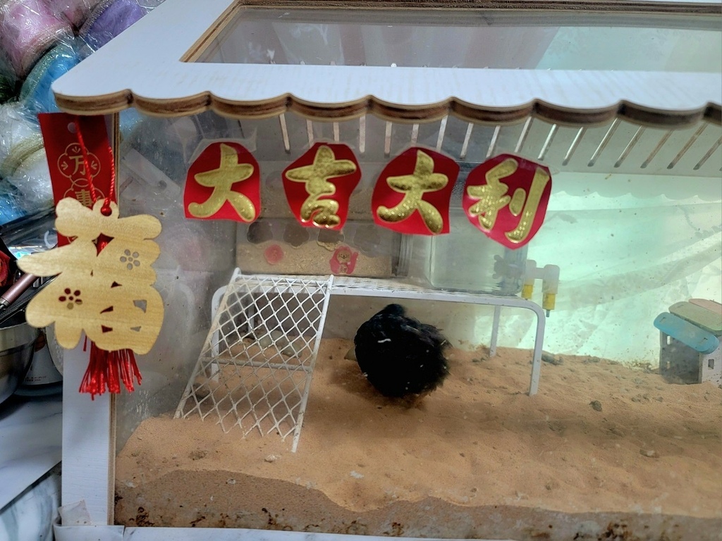 LINE_ALBUM_木頭方程式_240621_21.jpg