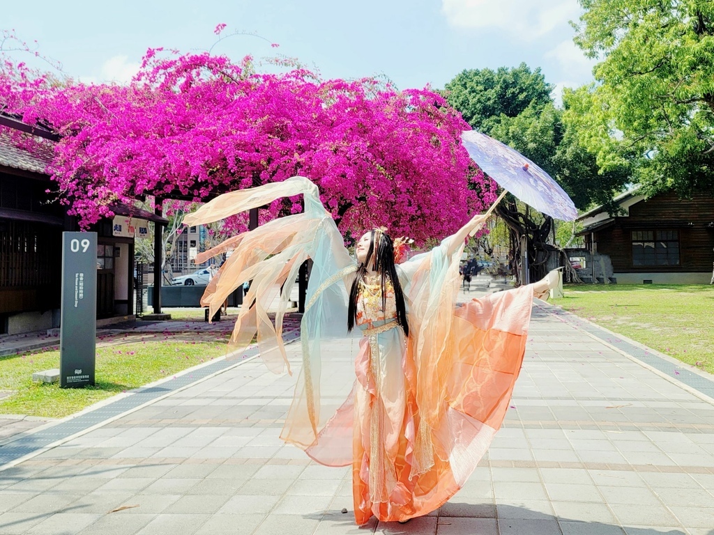 花卉2.jpg