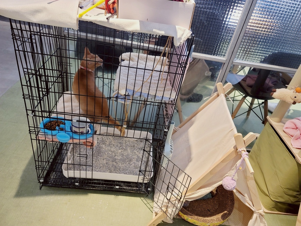 台北共享空間推薦 Hour Jungle Coworking