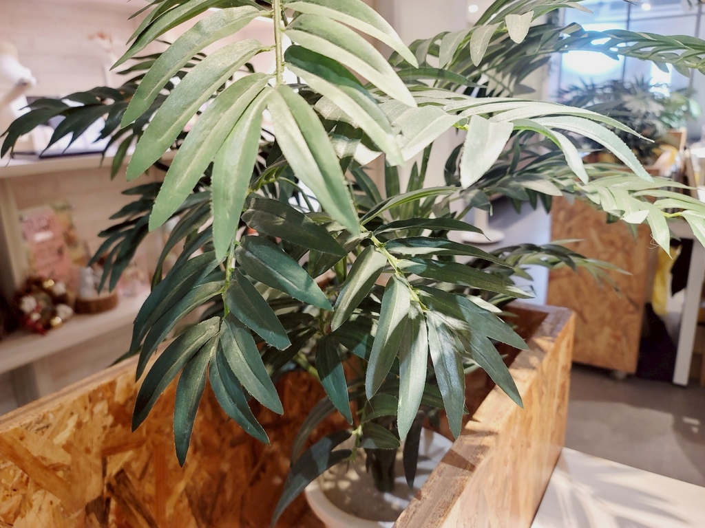 台北共享空間推薦 Hour Jungle Coworking