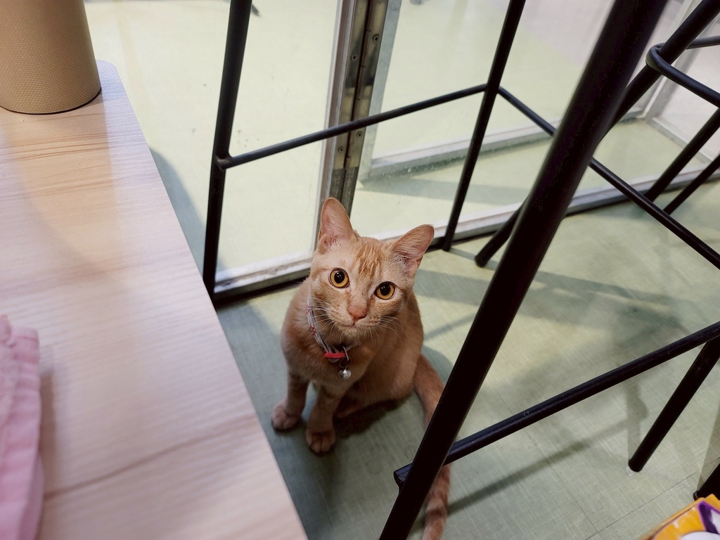 台北共享空間推薦 Hour Jungle Coworking