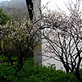 2011.03.21-0113.JPG