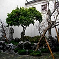 2011.03.22-0406.JPG