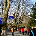 2011.03.24-0705.JPG